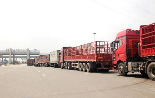 貨運行業(yè)新動向 兩會提案聚焦高速免費與多證合一，助力道路貨物運輸代理發(fā)展