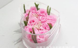 云南菲麗雅保鮮花禮盒 9朵真空玫瑰塑造永恒之美